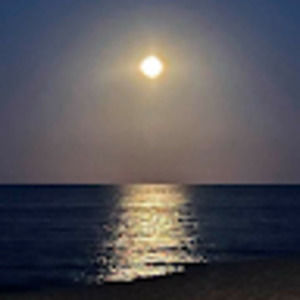 Meet your Posher, Karla